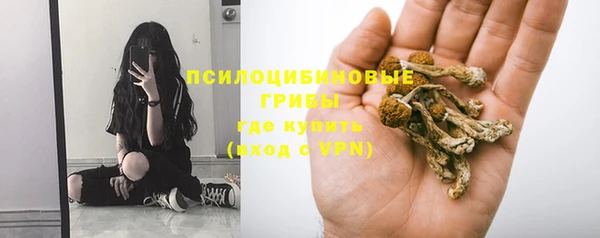амф Осташков