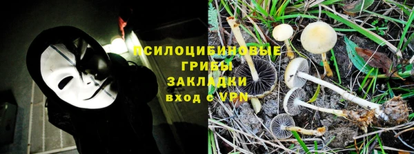 винт Няндома