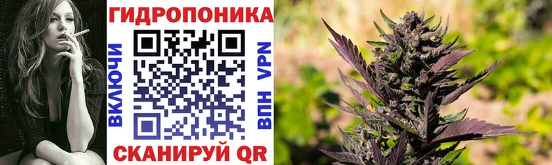 Бошки марихуана White Widow  Бугуруслан 